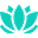 Solace icon